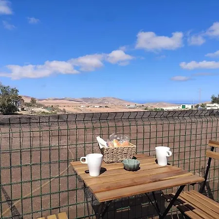 Independiente La Gata Pequena *