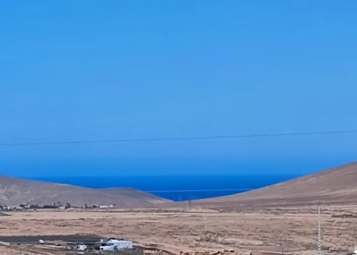 Independiente La Gata Pequena *