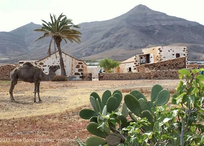 Appartamento Independiente La Gata Pequena Tefía