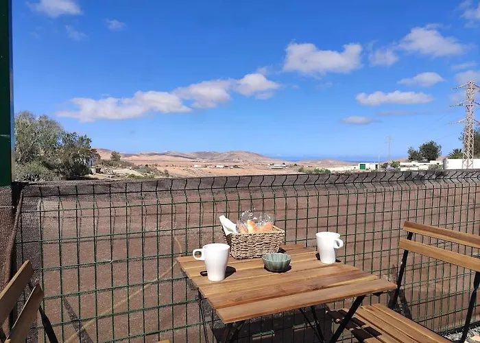 Independiente La Gata Pequena *