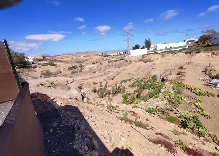 Independiente La Gata Pequena Tefía