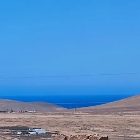 Independiente La Gata Pequena *