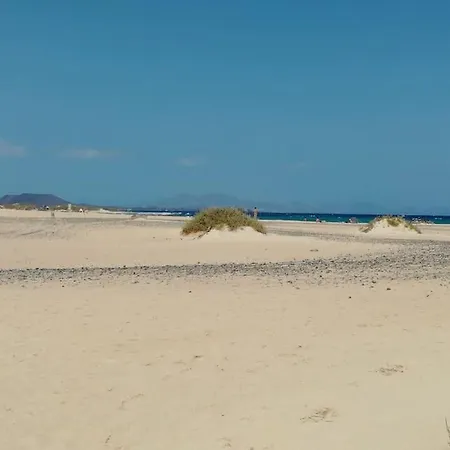 Independiente La Gata Pequena