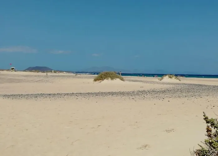 Independiente La Gata Pequena