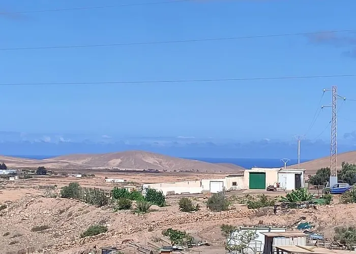 Independiente La Gata Pequena Tefía