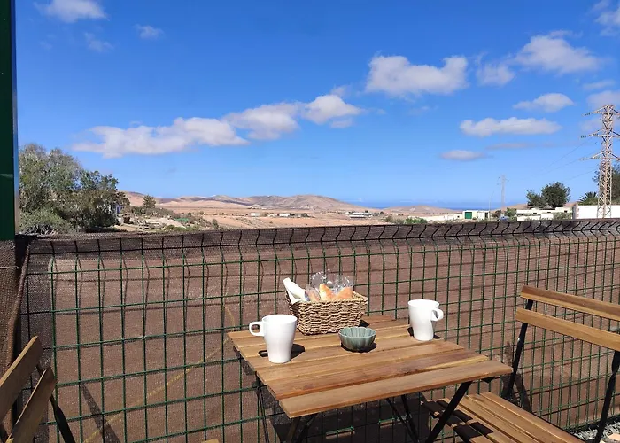 Independiente La Gata Pequena *